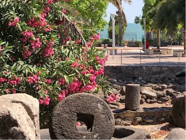 Ancient millstone in Capernaum, with the Sea of Galilee in the background. It is easy to imagine Jesus pointing and saying “It would be better to have that tied around your neck and be thrown in there!” 
Photo by John Buckner 