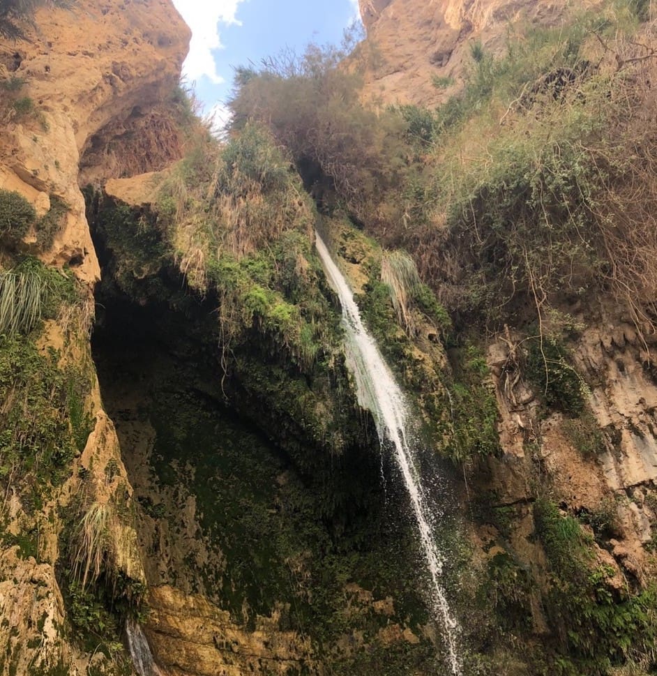 The Waterfall at En Gedi. David would often come here to hide and find refreshment.