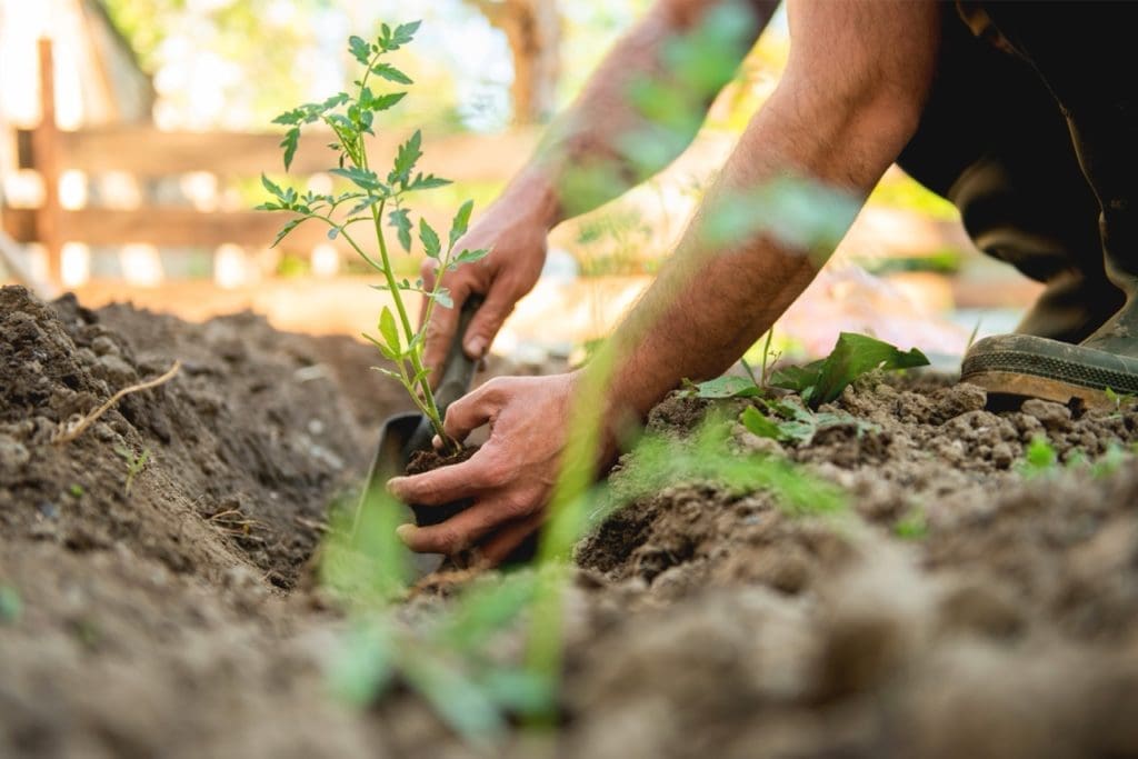gardening Large Encouragement for Single Adults: God is not finished with you. Keep moving forward with the Lord, and you will find all He has prepared for you.