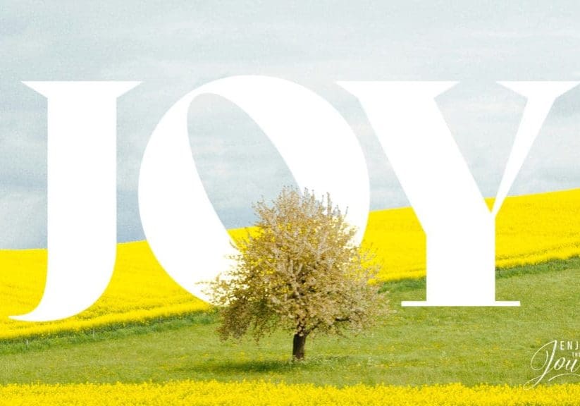 Mile Marker, Joy in the Bible, Joy, Happiness, Joy in Scripture, how to have Joy, Jesus brings joy