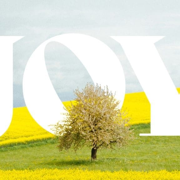 Mile Marker, Joy in the Bible, Joy, Happiness, Joy in Scripture, how to have Joy, Jesus brings joy