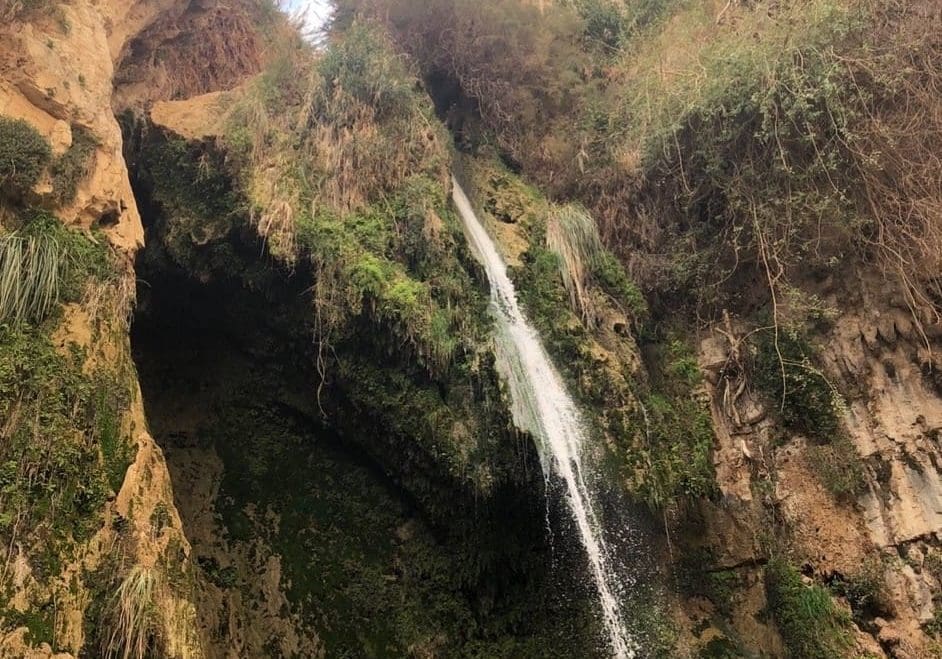 The Waterfall at En Gedi. David would often come here to hide and find refreshment.