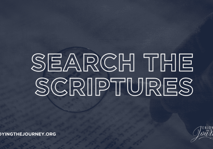 Search the Scriptures, Bible Study, Reading the Bible