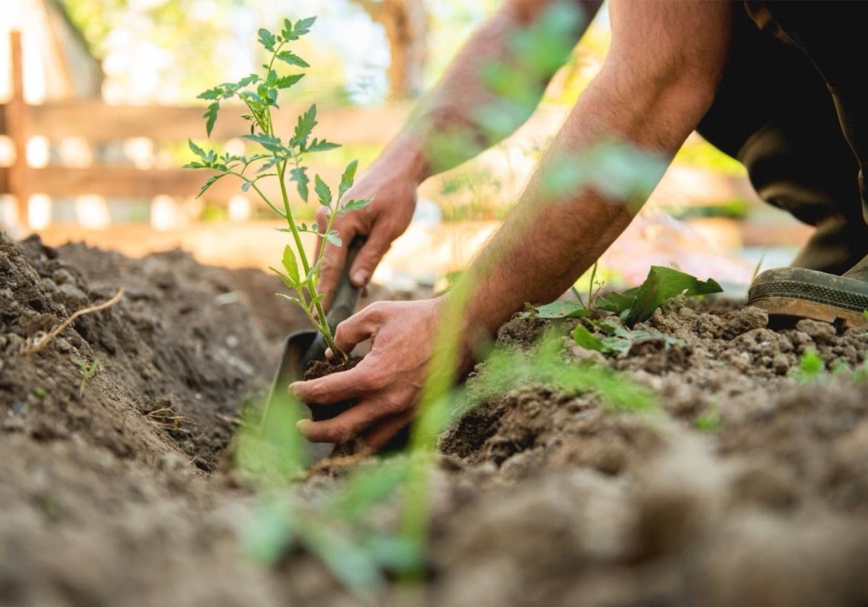 gardening Large Encouragement for Single Adults: God is not finished with you. Keep moving forward with the Lord, and you will find all He has prepared for you.